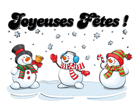 Serie 17 Joyeuses Fêtes (Noël) French Messages 