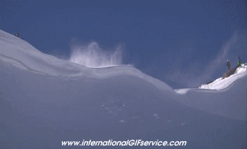 Free Ride Fun Win Ski Sport Humor -  Fun 