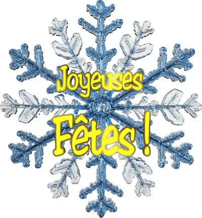Serie 21 Joyeuses Fêtes (Noël) Français Messages 