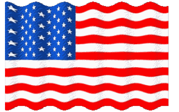 Sventola U.S.A - Nazionale America Bandiere 