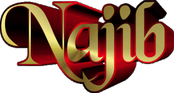 Najib N MASCULIN - Maghreb Musulman Prénoms 