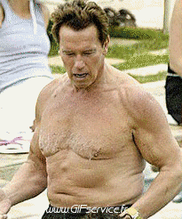 arnold schwarzenegger-arnold schwarzenegger Série 02 People - Vip Morphing - Ressemblance Humour - Fun 