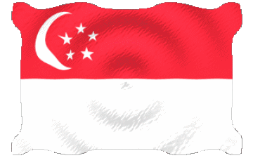 Ondulation Singapour Asie Drapeaux 