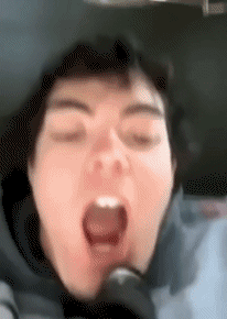 Vari 02 Uccelli Animali Umorismo -  Fun 