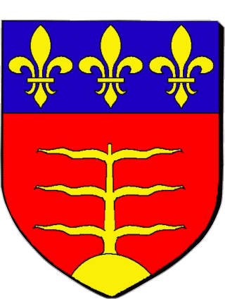 Blasone-Blasone MONTAUBAN 82 Dipartimenti - Città Francia Bandiere 