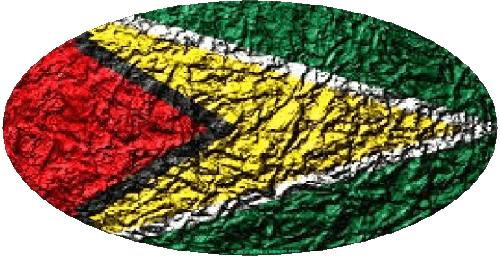 Ovale Guyana Amériques Drapeaux 