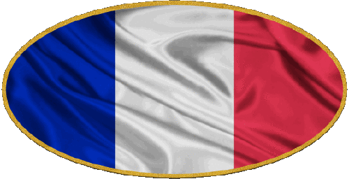 Oval National Frankreich Fahnen 