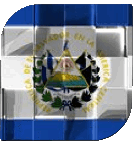 Carré Salvador Amériques Drapeaux 