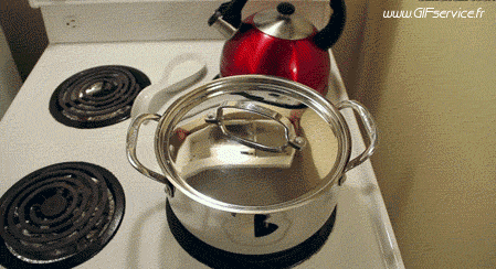 Serie 03 Chats Animaux Humour - Fun 