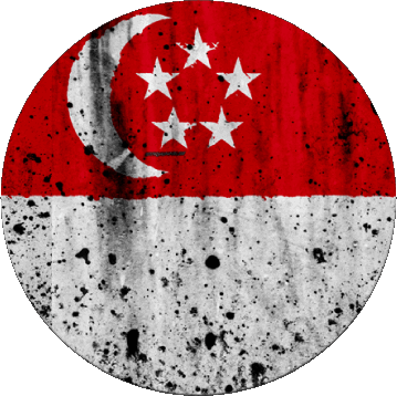 Rond Singapour Asie Drapeaux 