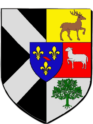 Blasone-Blasone RAMBOUILLET 78 Dipartimenti - Città Francia Bandiere 