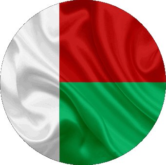Round Madagascar Africa Flags 
