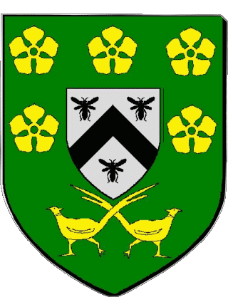 SALBRIS 41 Departments - Cities France Flags 