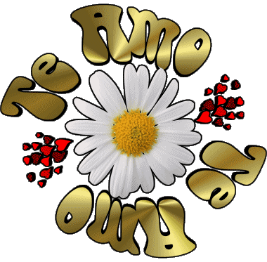 04 Te Amo Spanish Messages 