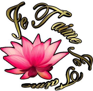 04 Je T'aime French Messages 