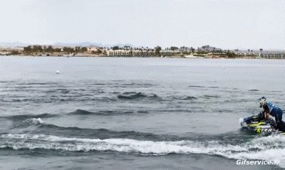 Fun - Win (Standing) Jet Ski Transport Humor -  Fun 