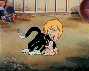 The Cat That Hated People Tex Avery Cartoons TV - Movies Multi Media 