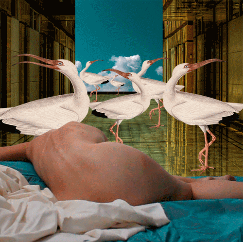 Isabel Chiara GIF Artistes Humour - Fun 