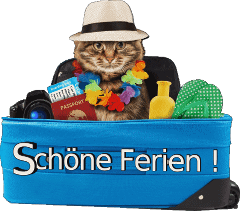 12 Transparenter Hintergrund Schöne Ferien Deutsche Nachrichten 