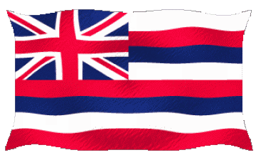 Ondulation Hawaii U.S.A - Etats Amériques Drapeaux 