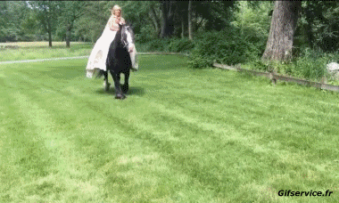 Serie 01 Mariage PERSONNAGES Humour - Fun 