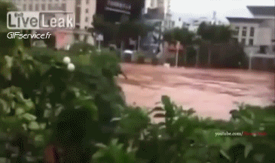 Incidente - Arenamento Barche Trasporti Umorismo -  Fun 