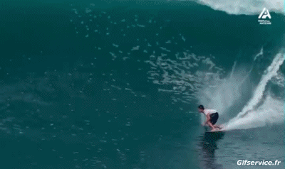 Fun - Win Surf Deportes Humor - Fun 