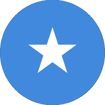 Rond Somalie Afrique Drapeaux 