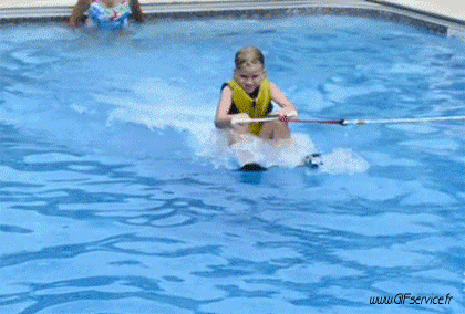 02 Dogs Animals Humor -  Fun 