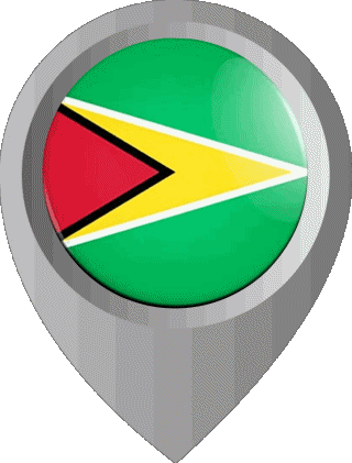 Epingle de Localisation Guyana Amériques Drapeaux 