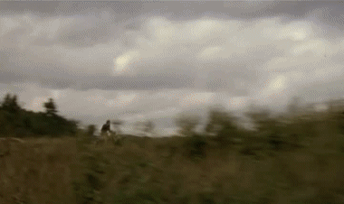 Video Top Secret Movies International Multi Media 