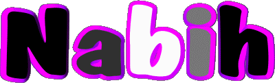 Nabih N MANN - Maghreb Muslim Vorname 