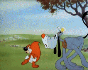 Happy Go Nutty Tex Avery Cartoni animati TV Film Multimedia 