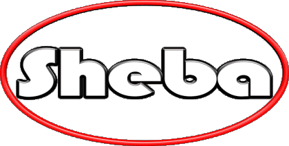 Sheba S FEMININ - UK - USA Prénoms 