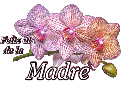 05 Feliz día de la madre Spanisch Nachrichten 