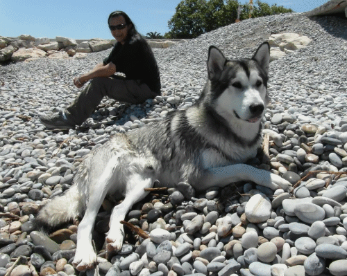 George RedHawk - Couleur GIF Artists Humor -  Fun 