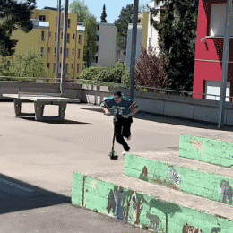 Fun Win Patineta Transporte Humor - Fun 