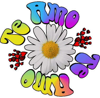 04 Te Amo Espagnol Messages 