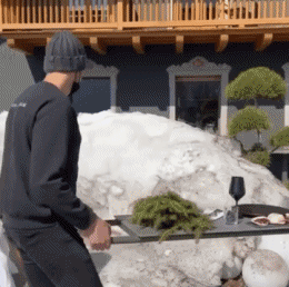 Serie 01 Nourriture PERSONNAGES Humour - Fun 