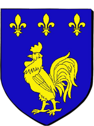 Blazon-Blazon GAILLAC 81 Departments - Cities France Flags 