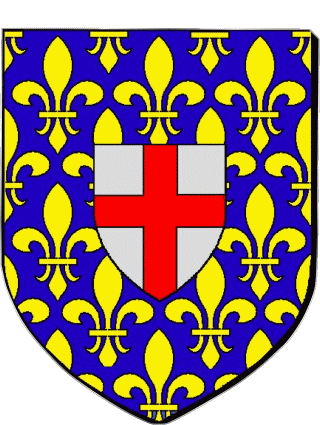 Blasone-Blasone DOULLENS 80 Dipartimenti - Città Francia Bandiere 