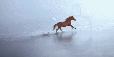 Hermès Alta Costura - Perfume Moda 