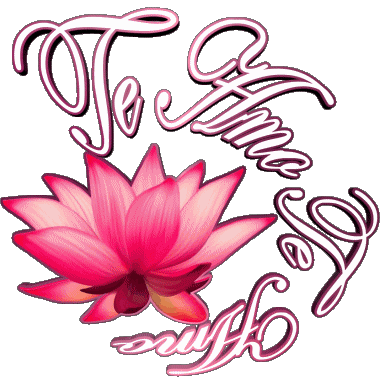 03 Te Amo Spanish Messages 