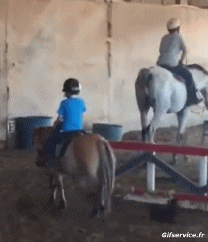 Serie 02 Caballos Animales Humor - Fun 