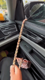 Lustige Autos Transport Humor -  Fun 