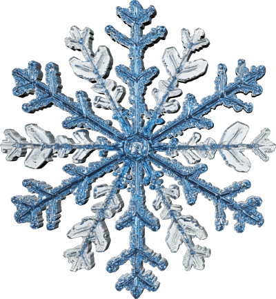 Serie 16 Season's Greetings Anglais Messages 