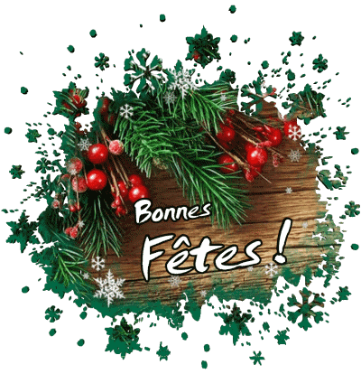 Serie 14 Bonnes Fêtes (Noël) French Messages 