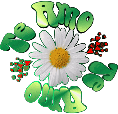 04 Te Amo Español Mensajes 