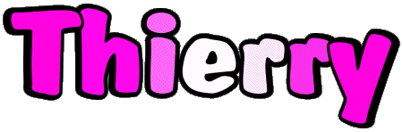 Thierry T MASCULINO - Francia Nombre 