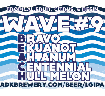 Wave #9-Wave #9 Adirondack USA Beers Drinks 